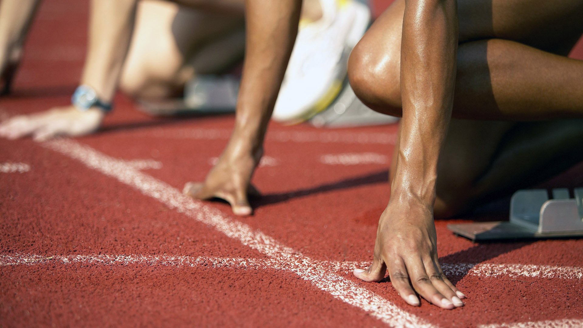 开云·体育官网-国家游泳队训练成果显著，成绩节节攀升，国家游泳队训练管理信息系统